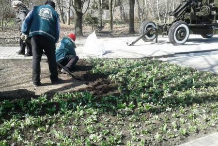 Клумбу возле стелы «Крылья Победы» украсили десятки тысяч весенних цветов (фото)
