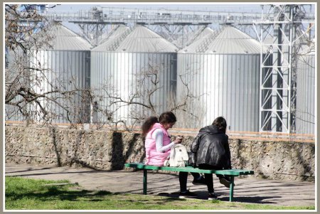 Бульвар имени живого одесского классика переживет благоустройство (фоторепортаж)