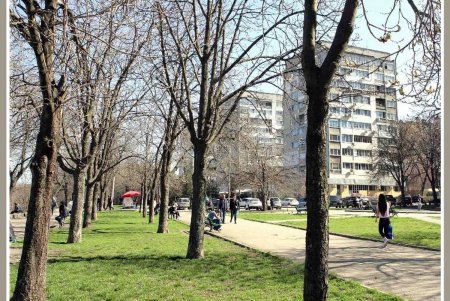 Бульвар имени живого одесского классика переживет благоустройство (фоторепортаж)