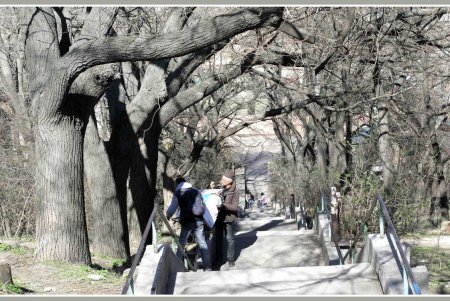 Бульвар имени живого одесского классика переживет благоустройство (фоторепортаж)