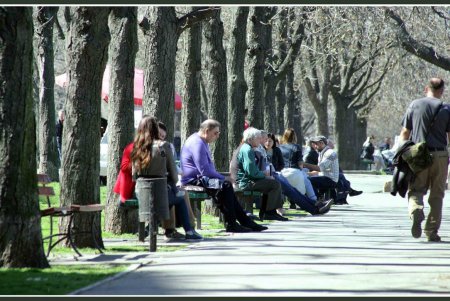 Бульвар имени живого одесского классика переживет благоустройство (фоторепортаж)