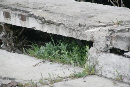 На руинах гордости армейского спорта (фоторепортаж)