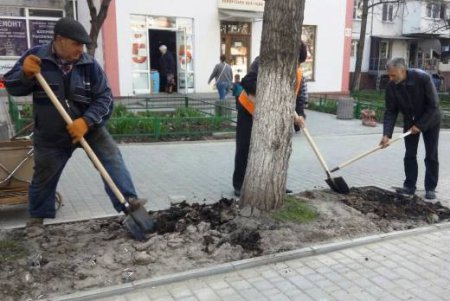 Больше тысячи сотрудников коммунальных служб провели весенний субботник (фото)