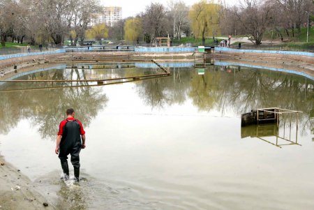 Большой пруд парка Победы высох до лета (фоторепортаж)