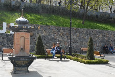 В Стамбульском парке распустились прекрасные магнолии (фото)