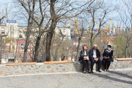 В Стамбульском парке распустились прекрасные магнолии (фото)