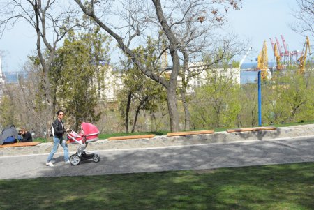 В Стамбульском парке распустились прекрасные магнолии (фото)