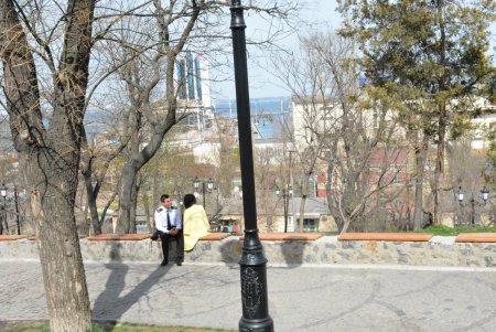 В Стамбульском парке распустились прекрасные магнолии (фото)