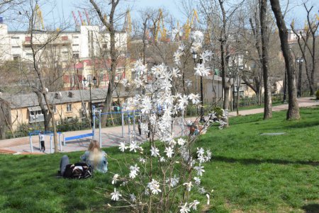 В Стамбульском парке распустились прекрасные магнолии (фото)