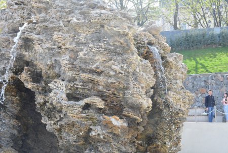 В Стамбульском парке распустились прекрасные магнолии (фото)