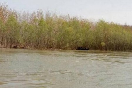 Военные моряки приступили к поиску мин на Дунае (фото)