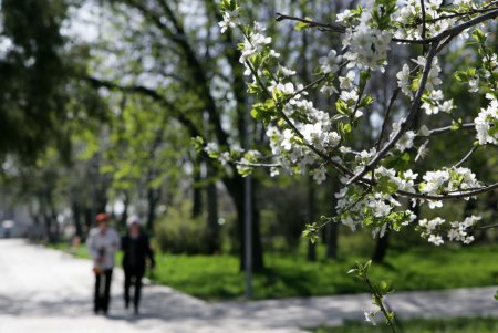 На Большом Фонтане Одессы торжественно «поселили» капсулу времени (фоторепортаж)