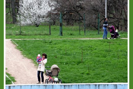 «Дикую» часть дендропарка Победы приобщат к цивилизации  (фоторепортаж)