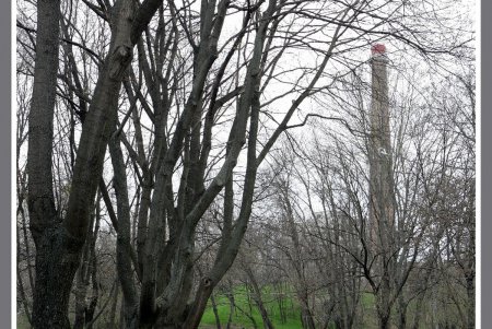 «Дикую» часть дендропарка Победы приобщат к цивилизации  (фоторепортаж)