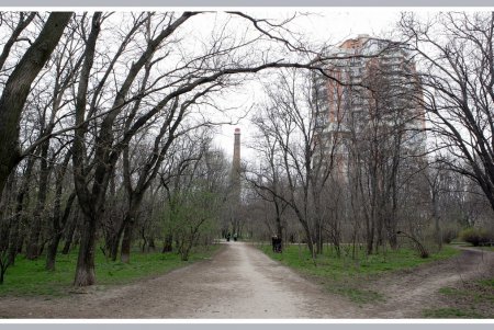 «Дикую» часть дендропарка Победы приобщат к цивилизации  (фоторепортаж)