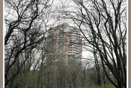 «Дикую» часть дендропарка Победы приобщат к цивилизации  (фоторепортаж)