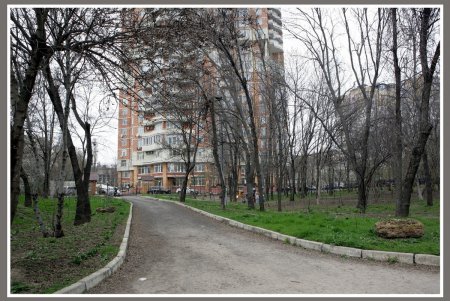 «Дикую» часть дендропарка Победы приобщат к цивилизации  (фоторепортаж)