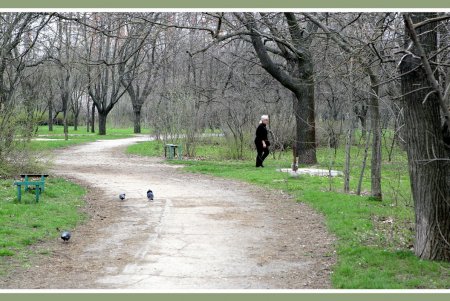 «Дикую» часть дендропарка Победы приобщат к цивилизации  (фоторепортаж)