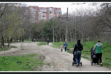 «Дикую» часть дендропарка Победы приобщат к цивилизации  (фоторепортаж)