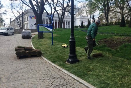 Стамбульский парк прихорашивается к лету (фото)