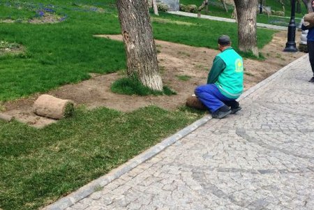 Стамбульский парк прихорашивается к лету (фото)