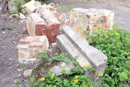 Преображенский парк на «костистой» основе (фоторепортаж)