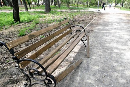 Преображенский парк на «костистой» основе (фоторепортаж)