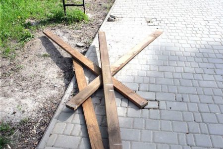 Преображенский парк на «костистой» основе (фоторепортаж)