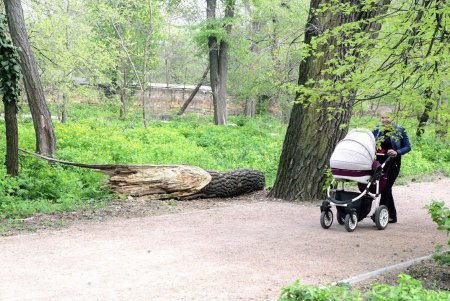 Преображенский парк на «костистой» основе (фоторепортаж)
