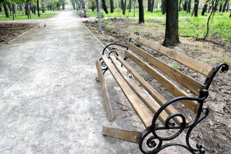 Преображенский парк на «костистой» основе (фоторепортаж)