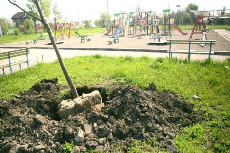 С сегодняшнего дня сквер «Счастливый» стал больше оправдывать свое название  (фоторепортаж)