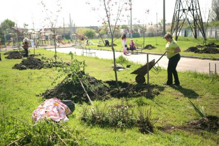С сегодняшнего дня сквер «Счастливый» стал больше оправдывать свое название  (фоторепортаж)
