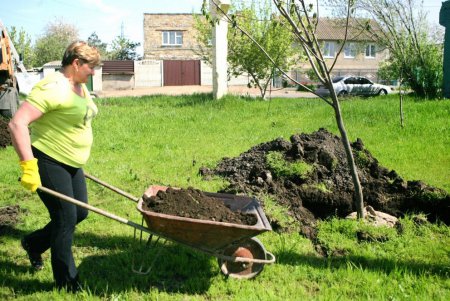 С сегодняшнего дня сквер «Счастливый» стал больше оправдывать свое название  (фоторепортаж)