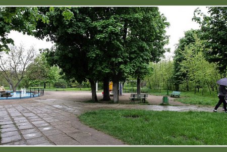Одесская «Русалочка» вернулась в свою родную стихию (фоторепортаж)