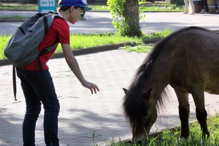 Экскурсия выходного дня от «Одессита»: Соборка  (фото)