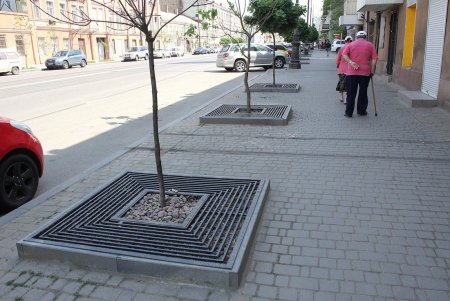 Одесские деревья общественно «окультуривают» (фоторепортаж)