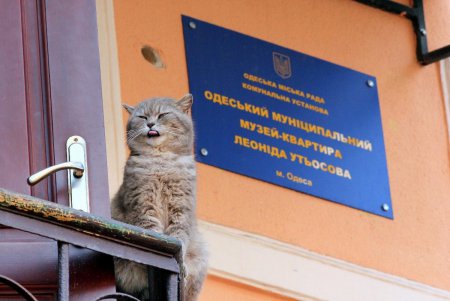 В Одесе открыли памятник бабушке (фоторепортаж)