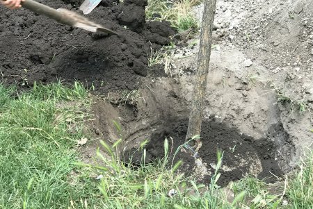 В Малиновском районе Одессы в субботу прописали два десятка красавиц (фото)