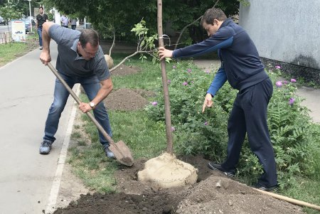 В Малиновском районе Одессы в субботу прописали два десятка красавиц (фото)