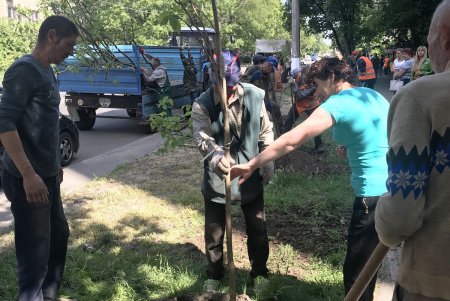 В Малиновском районе Одессы в субботу прописали два десятка красавиц (фото)