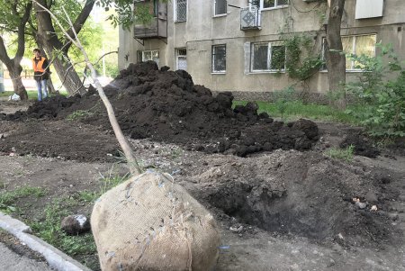 В Малиновском районе Одессы в субботу прописали два десятка красавиц (фото)