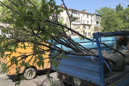 В Малиновском районе Одессы в субботу прописали два десятка красавиц (фото)