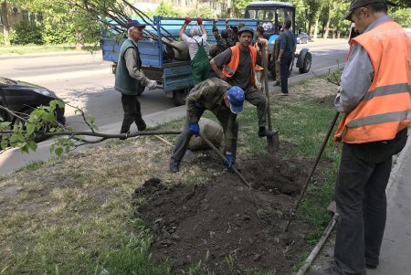 В Малиновском районе Одессы в субботу прописали два десятка красавиц (фото)