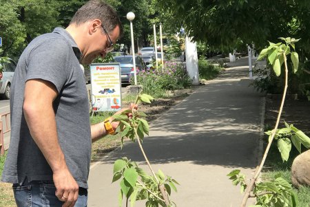 В Малиновском районе Одессы в субботу прописали два десятка красавиц (фото)