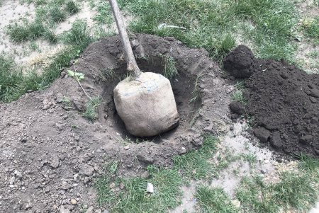 В Малиновском районе Одессы в субботу прописали два десятка красавиц (фото)