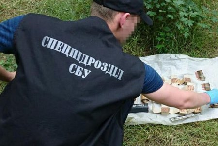 На Одесчине нашли два оружейных схрона (фото)