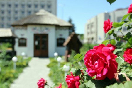 Одесская «хата Саакашвили» может освободить территорию (фоторепортаж) 