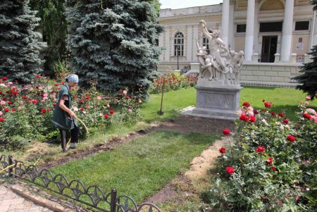 Лаокоона с сыновьями защитят розами (фоторепортаж)