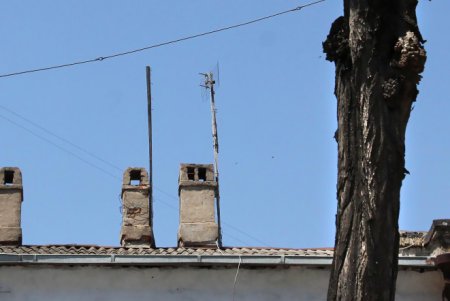 Улица Заславского поменяет имя (фоторепортаж)