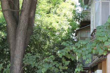 Улица Заславского поменяет имя (фоторепортаж)
